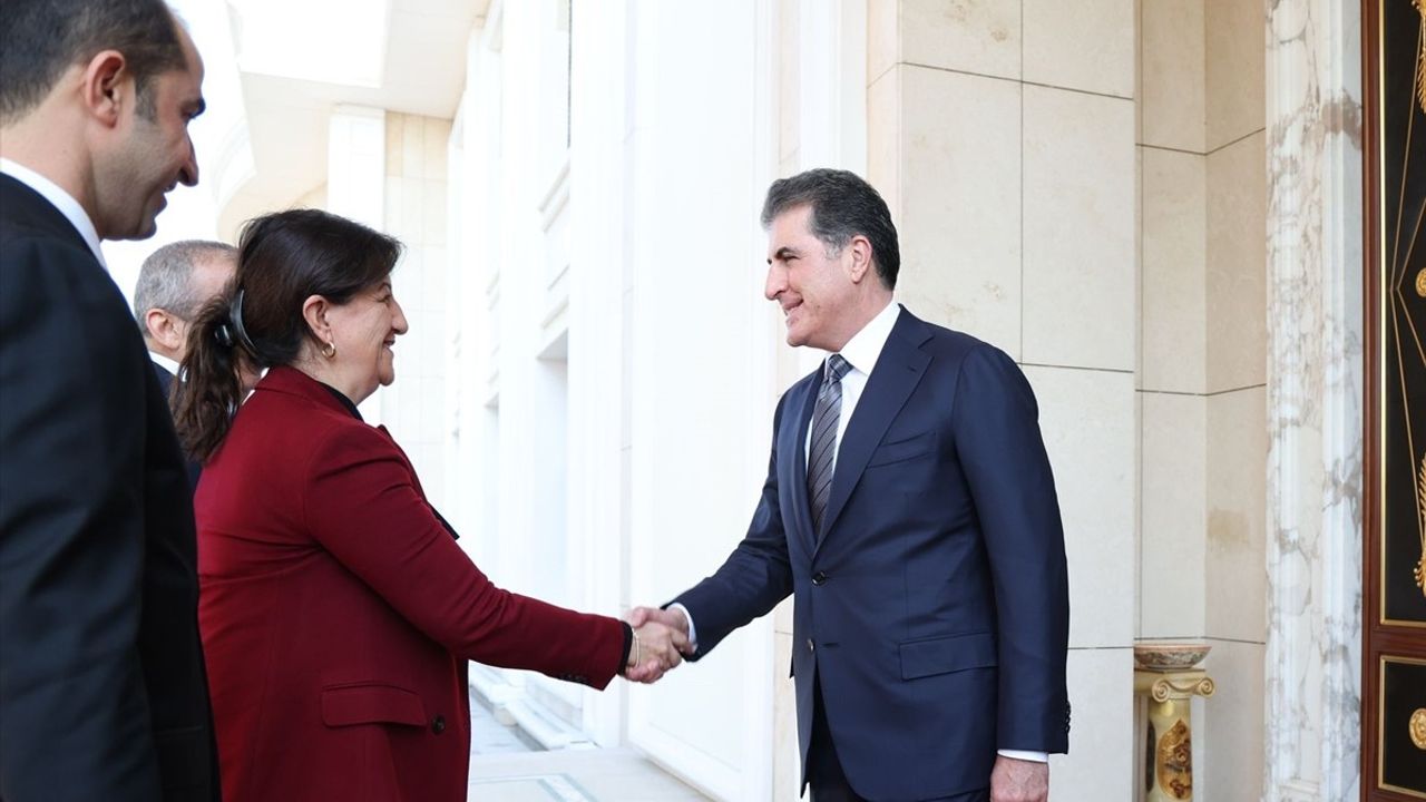 DEM Partisi Heyeti Erbil'de Barzani ile Buluştu