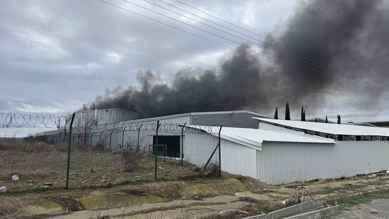 Edirne'de Fabrika Yangınına Müdahale Başladı