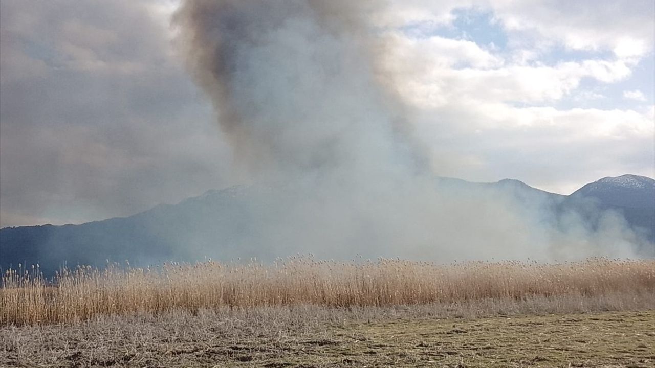 Gölhisar Gölü'nde Yangın Çıktı