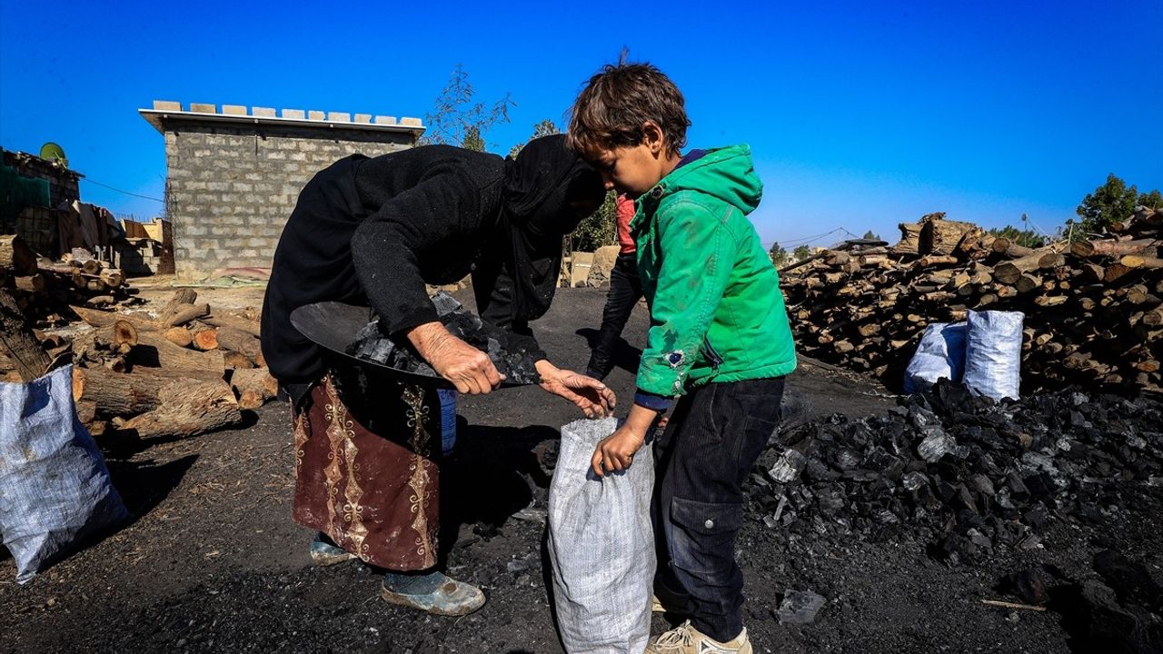 Irak'ta Yoksul Aileler, Mangal Kömürü ile Geçinmeye Çalışıyor