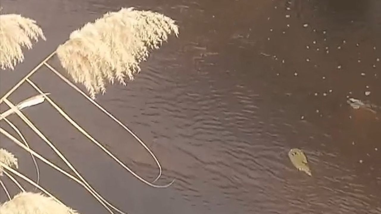 İzmir'de Atık Su Deşarjına Cezai İşlem