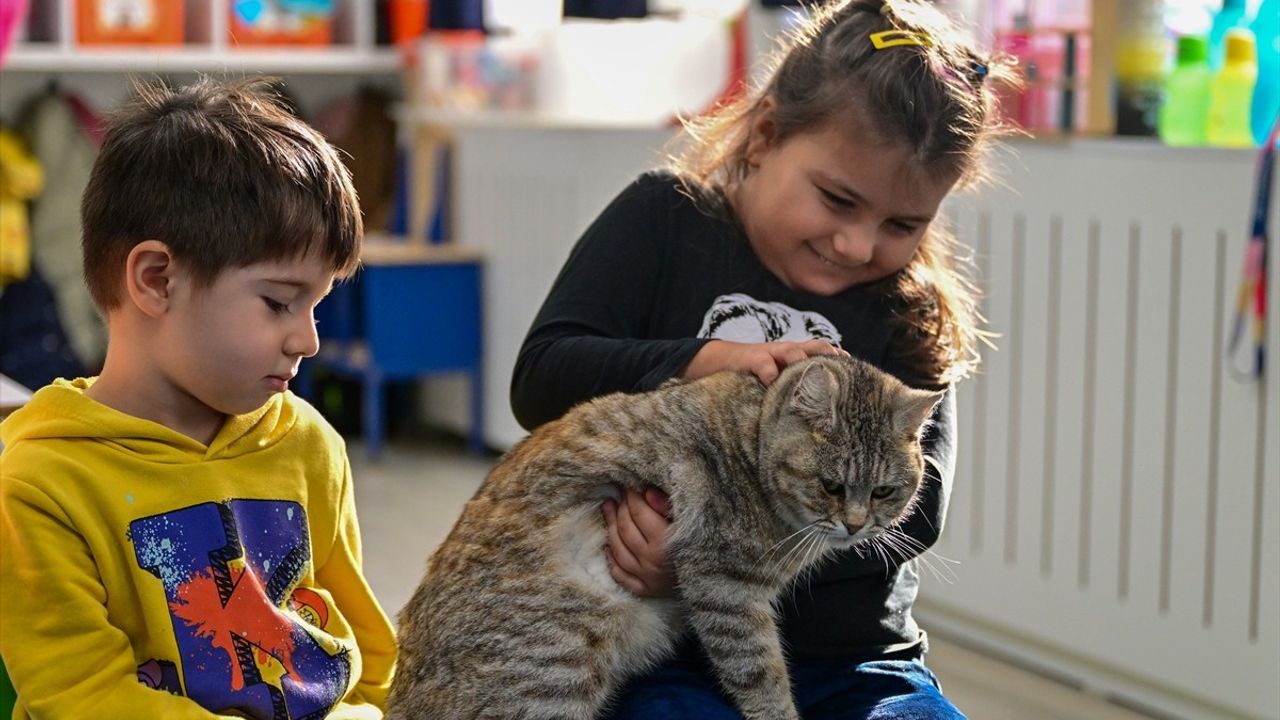 Kahramanmaraş Depremlerinin İkinci Yılı: Püsük'ün Hikayesi