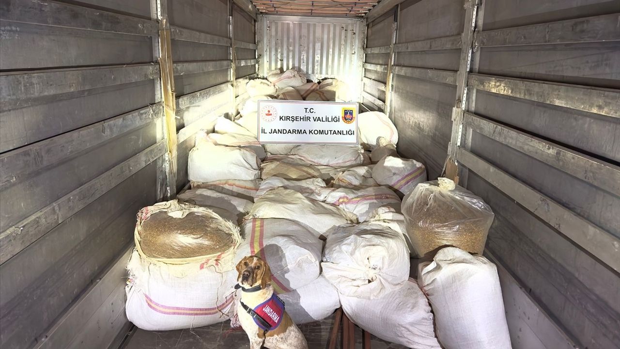 Kırşehir'de Kaçak Tütün Operasyonu: 3 Ton Ele Geçirildi