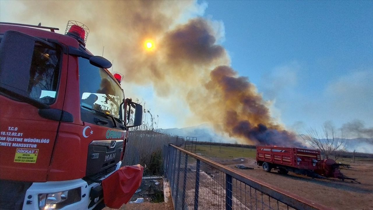 Köyceğiz Gölü'nde Sazlık Yangını