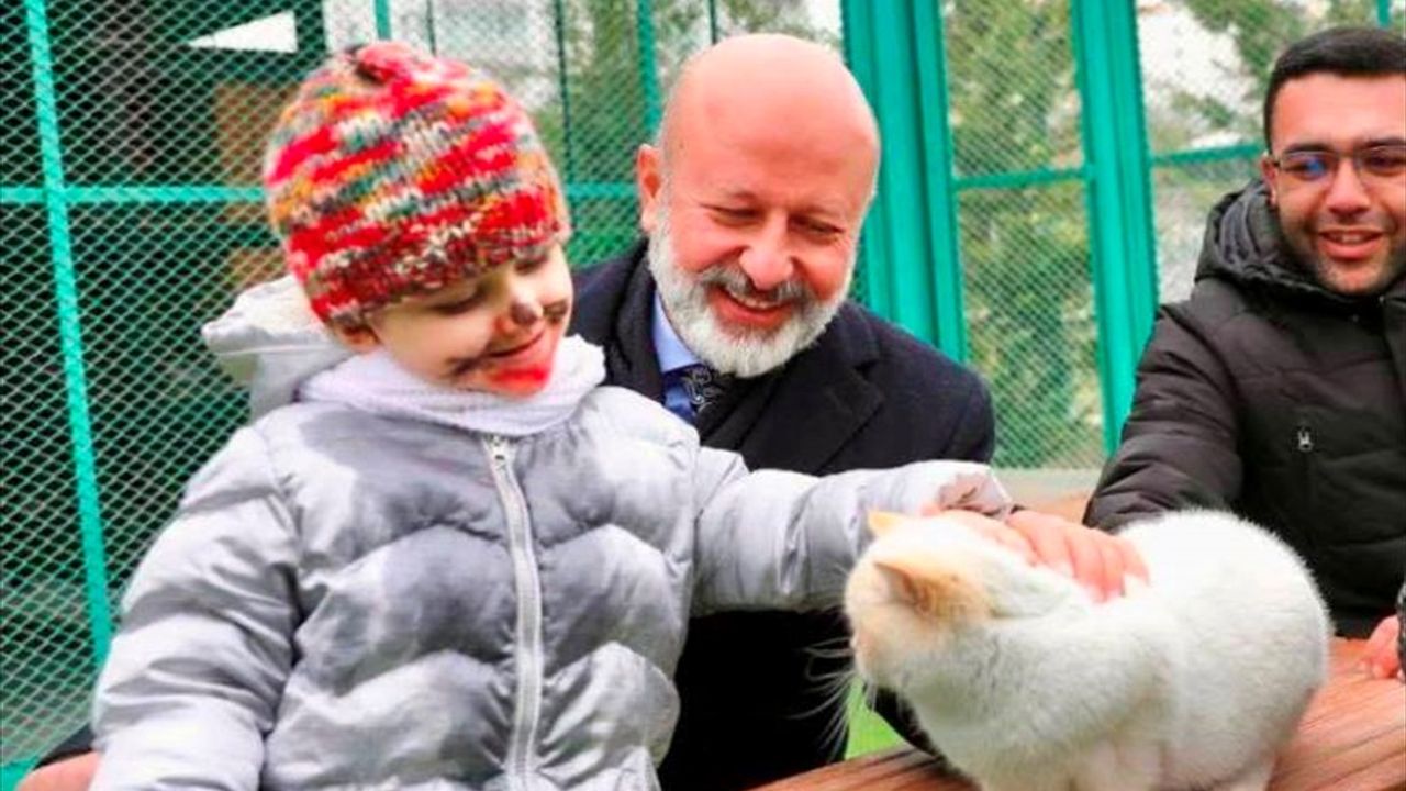 Küçük Dostlar Kedi Kasabası: Kayseri'de 9 Yılda 42 Bin Ziyaretçi