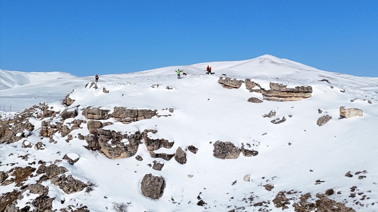 Malatya'da Yaban Domuzu Sürek Avı Düzenlendi