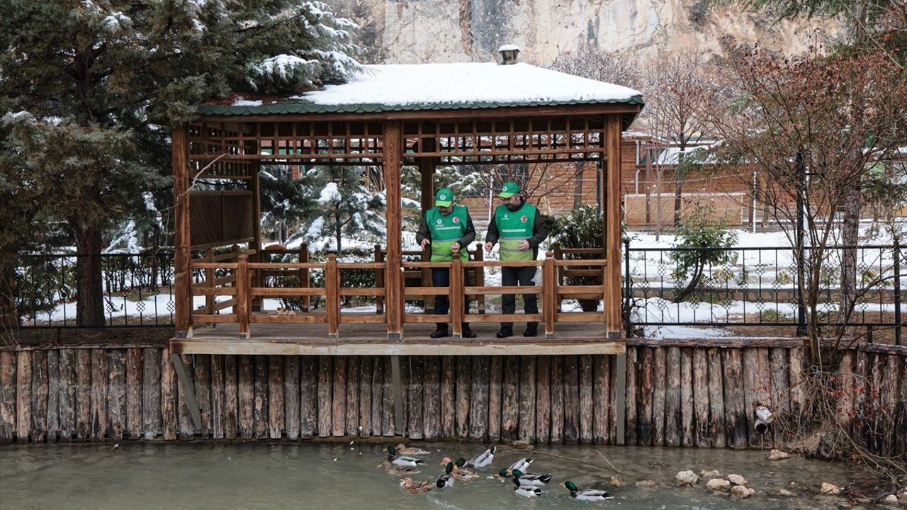 Malatya'da Yaban Hayvanları İçin Yem Bırakıldı