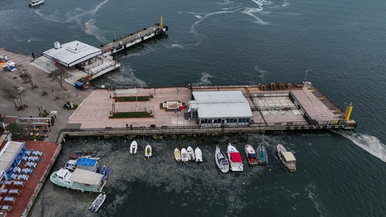 Marmara Denizi'nde Müsilaj Sorunu Yeniden Gündemde