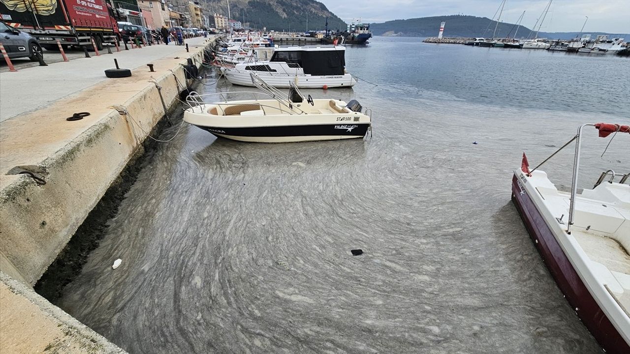 Marmara Denizi'nde Müsilaj Sorununun Etkileri ve Çözüm Önerileri