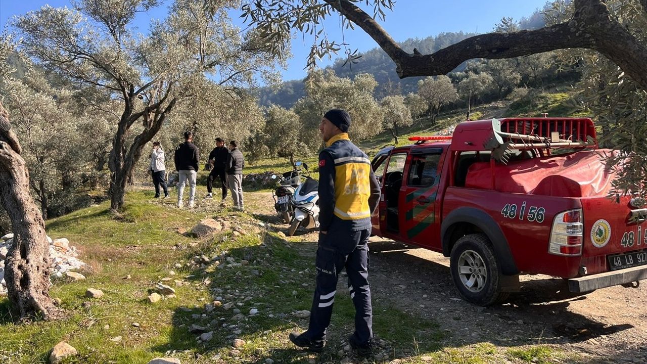 Milas'ta Zeytinlik ve Makilik Alanda Yangın Çıktı