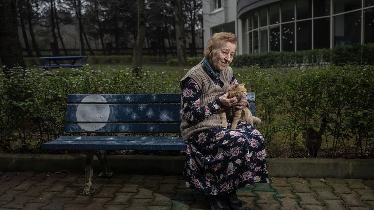 Patili Dostlar için Huzur Evi: Hayvansever Yaşlılar Kedi Huzurevi Kurdu
