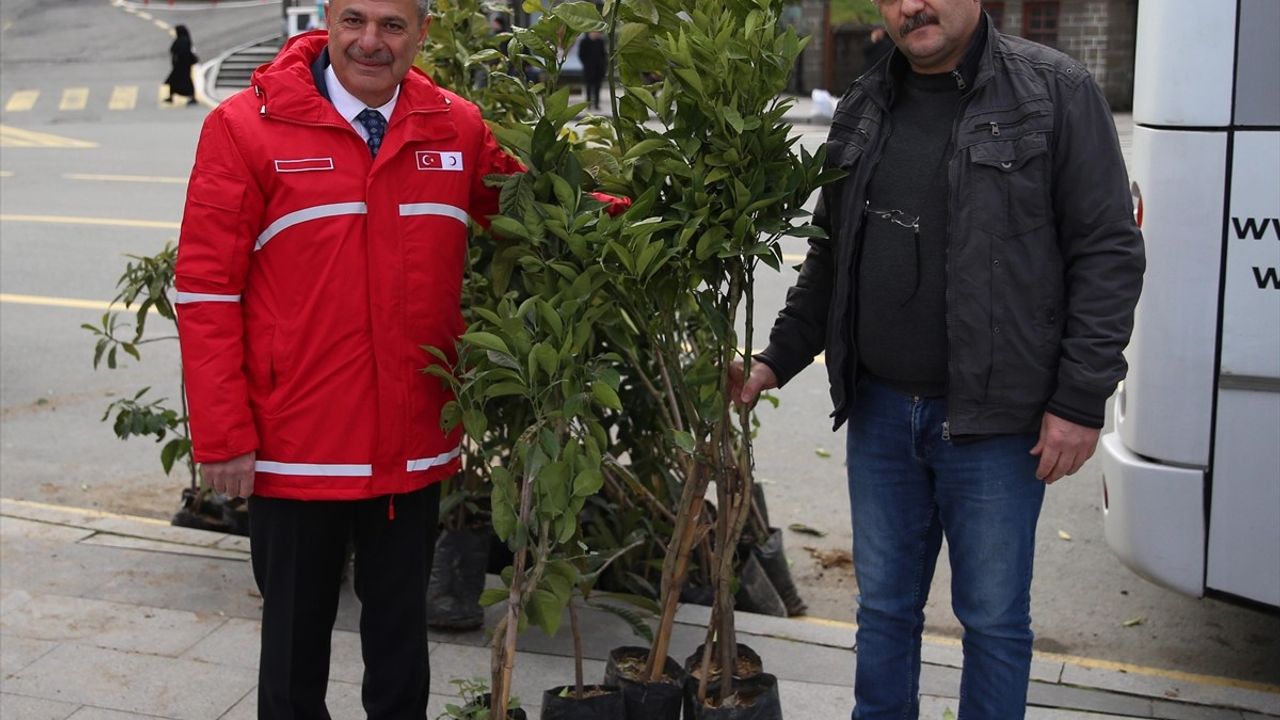 Rize'de Kan Bağışçılarına Meyve Fidanı Hediye Edildi