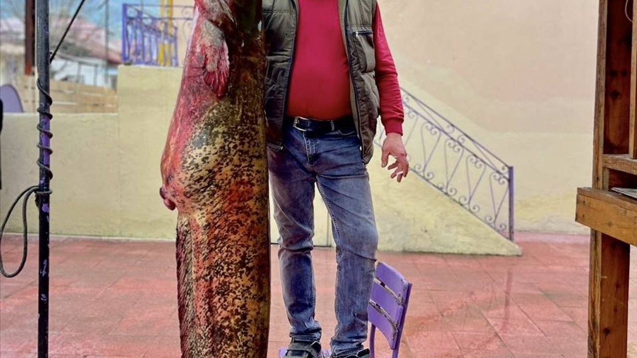 Sinop'ta 100 Kilogramlık Yayın Balığı Avlandı