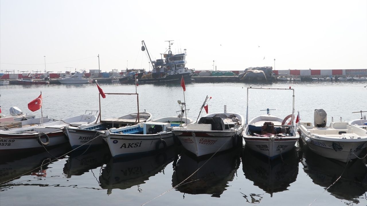 Tekirdağ'da Balıkçılar, İstavrit ve Hamsi İçin Denize Açıldı