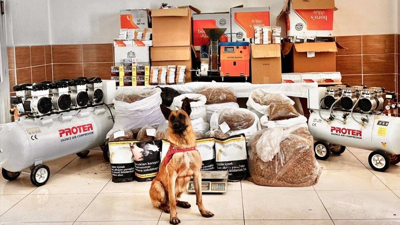 Tokat'ta Kaçak Telefon ve Tütün Operasyonu Düzenlendi