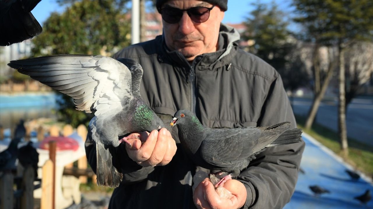 Trakya'da Soğuk Havanın Etkileri