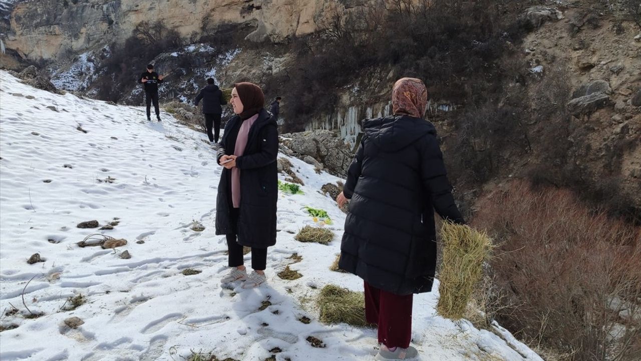 Tunceli'de Öğrencilerden Yaban Hayvanlarına Destek