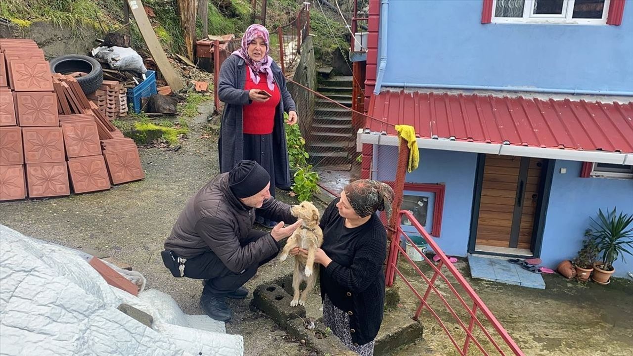 Zonguldak'ta Terk Edilen Köpek Yavrusuna Yeni Bir Yuva