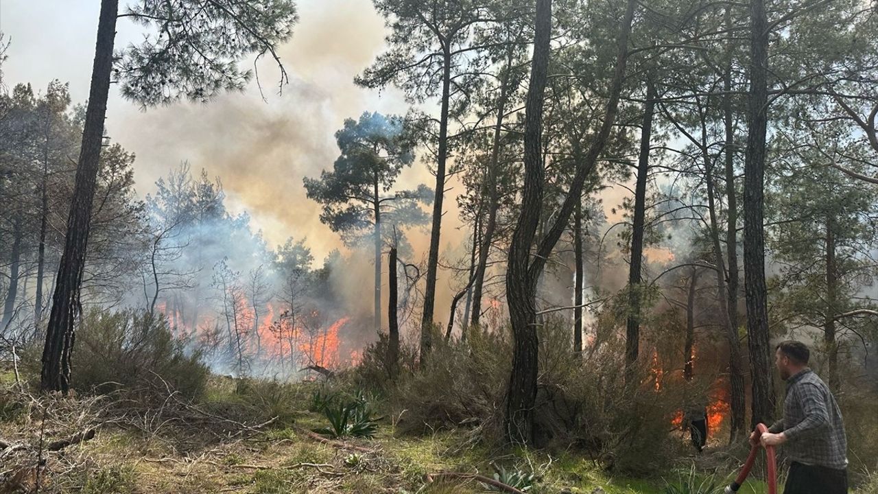 Antalya Kemer'de Orman Yangınına Müdahale Ediliyor