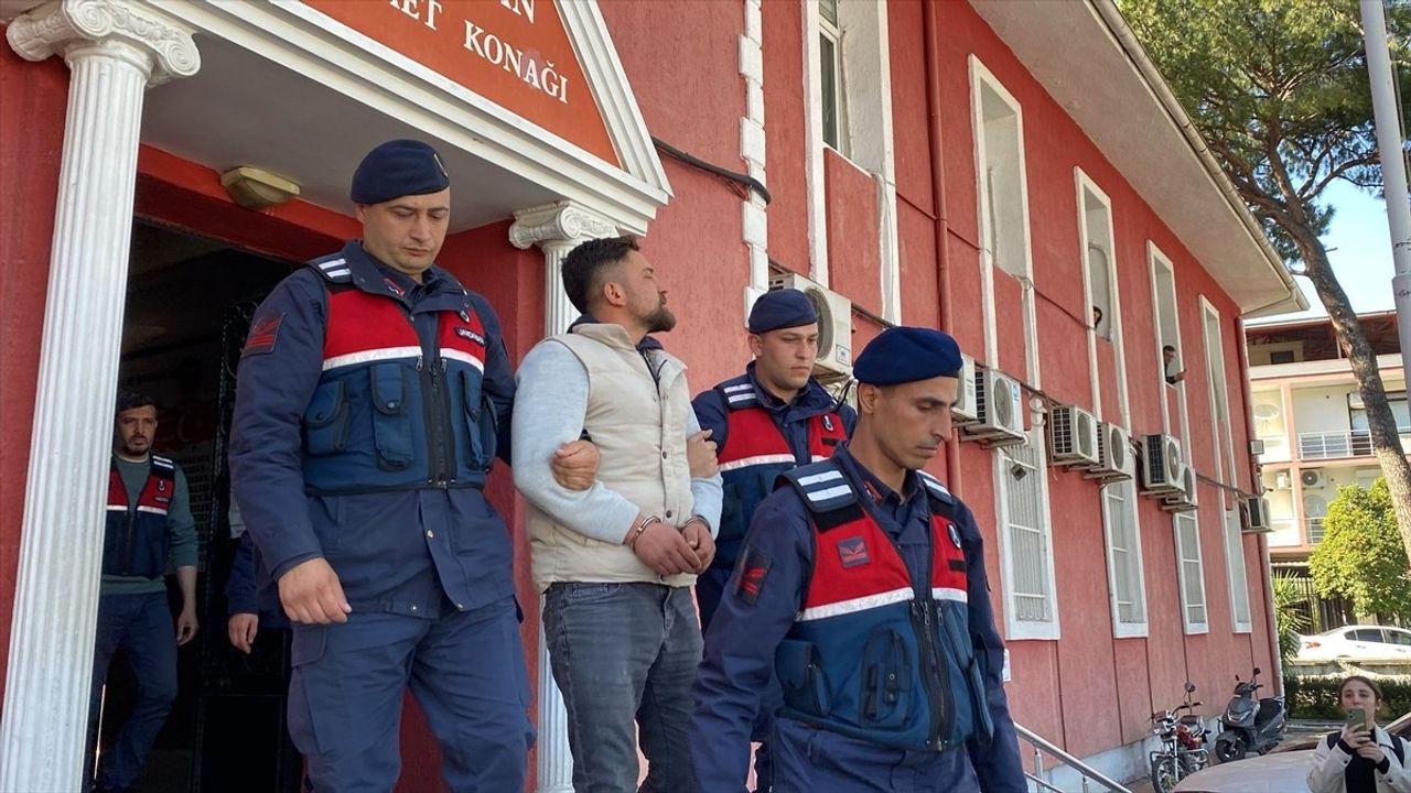 Aydın'da Deve Güreşleri Sırasında Polis Memuruna Yaralama Olayı