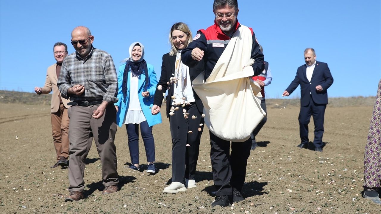 Bakan Yumaklı, Kastamonu'da Sarımsak Ekimine Katıldı
