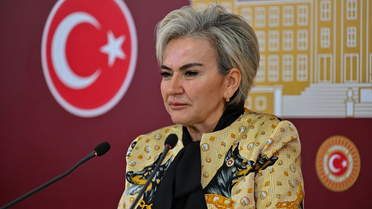 CHP'li Özdemir'den Hayvanlara Şiddeti Önleme Teklifi