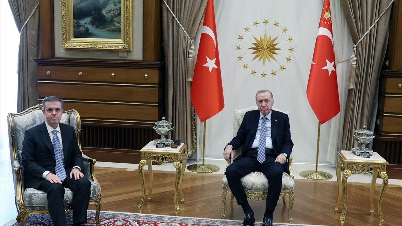 Cumhurbaşkanı Erdoğan İhlas Holding Başkanı Ahmet Mücahid Ören'i Ağırladı
