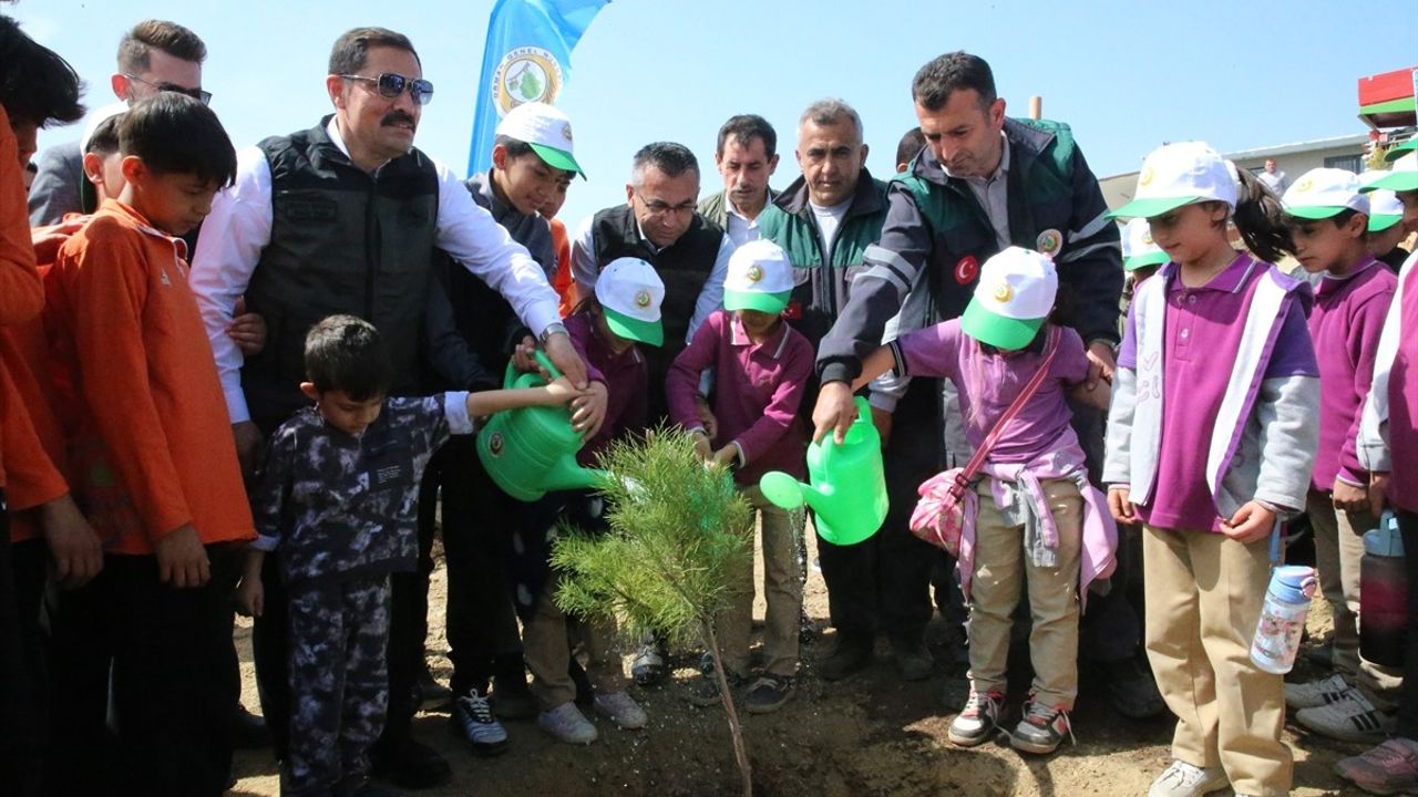 Hatay'da 1000 Fıstık Çamı Fidanı Dikildi