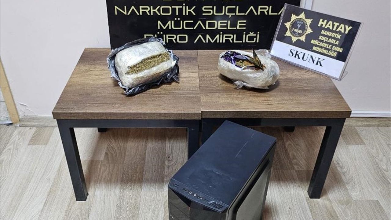 Hatay'da Bilgisayar Kasasında Skunk Yakalandı