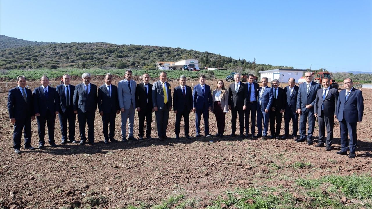 İzmir'de Kökten Hayata Projesi ile 4 Bin Fidan Toprakla Buluştu