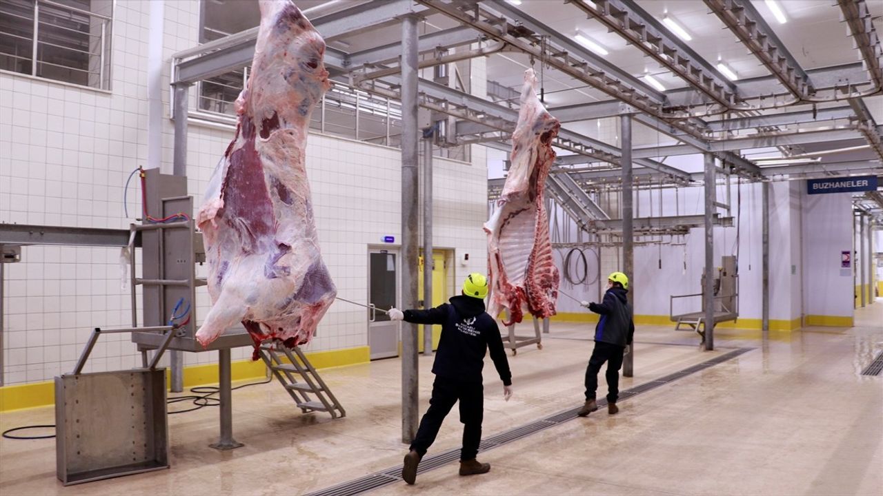 Kocaeli'nin Mezbahalarında Ramazan Yoğunluğu Arttı