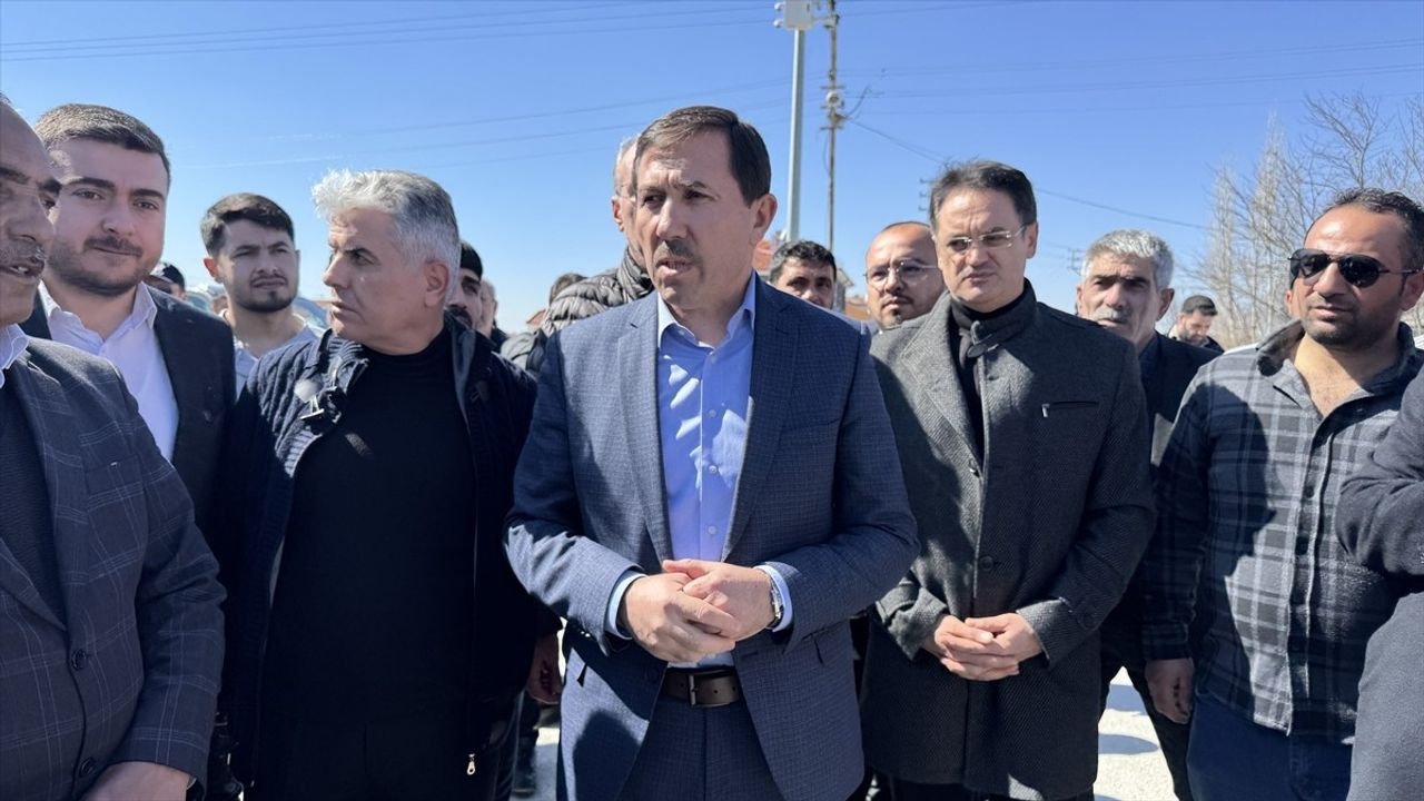 Konya'da Bebeğin Köpek Saldırısında Ölümü sonrası Sahipsiz Köpekler Toplanıyor