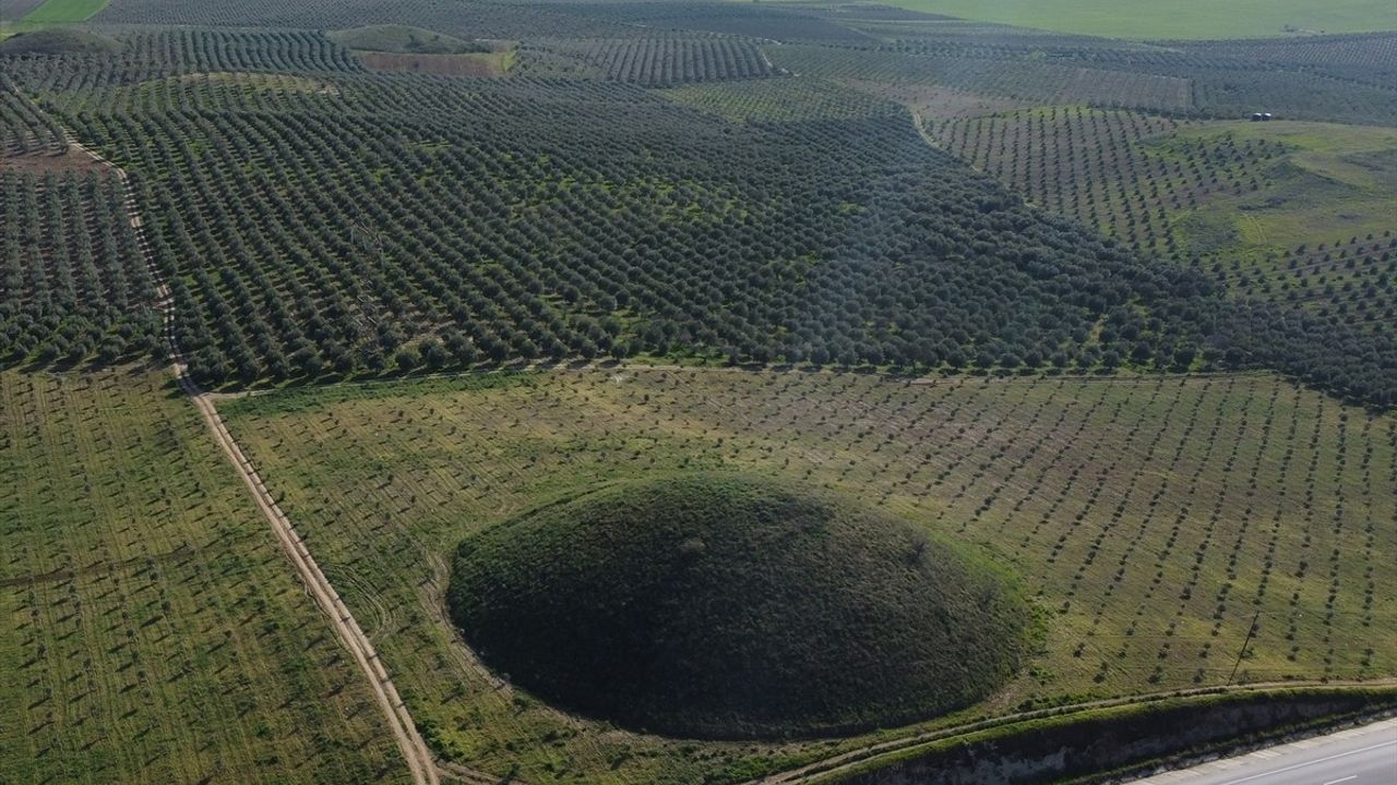 Lidya Tümülüsleri Baharın Renkleriyle Canlandı