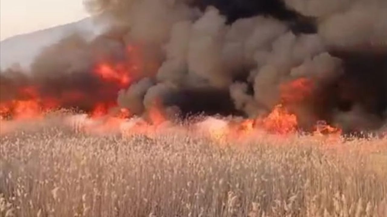 Malatya'da Sazlık Alanında Yangın Söndürüldü