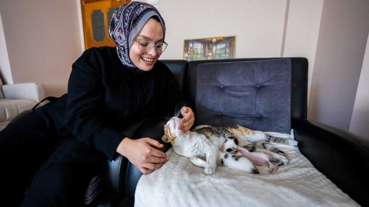 Mersin'de Camide Doğum Yapan Kedi ve Yavruları Sahiplendirildi