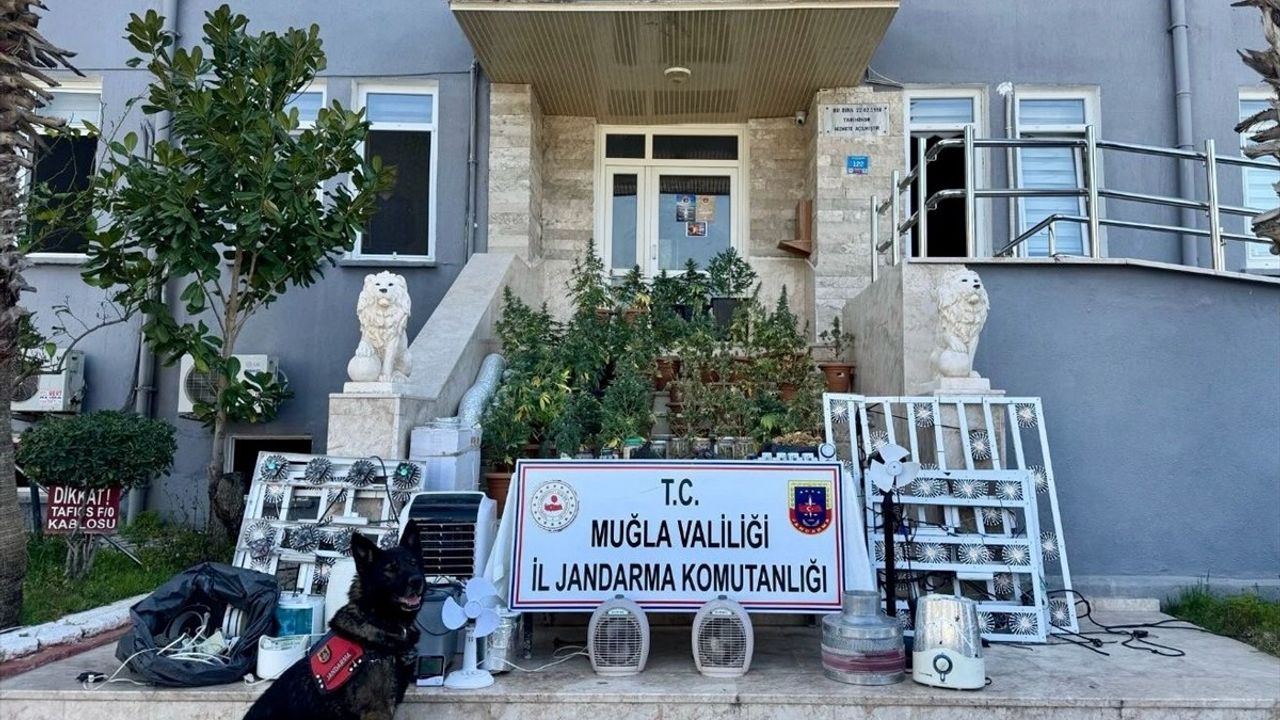 Muğla'da Uyuşturucu Operasyonu: 1 Tutuklama