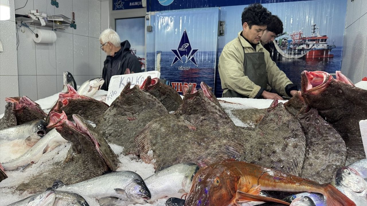 Sinop'ta Kalkan Balığı Avı Sezonu Bereketli Geçiyor