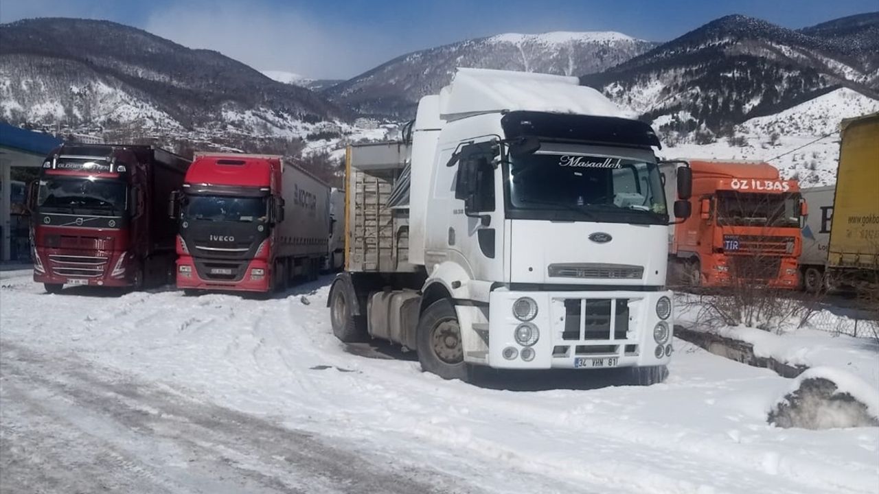 Türkgözü-Posof-Damal Yolunda Tır Geçişleri Yeniden Başladı