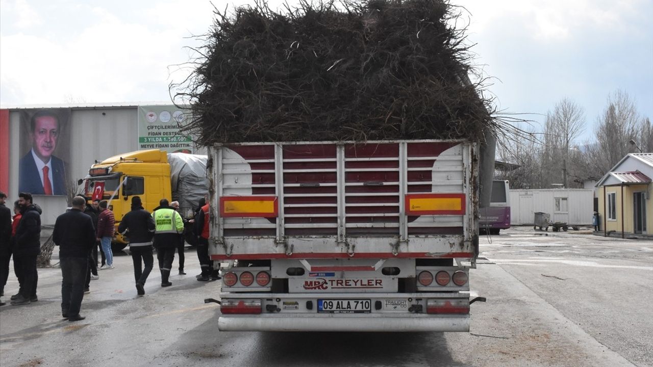 Van'da Çiftçilere 1 Milyon 390 Bin Meyve Fidanı Dağıtıldı