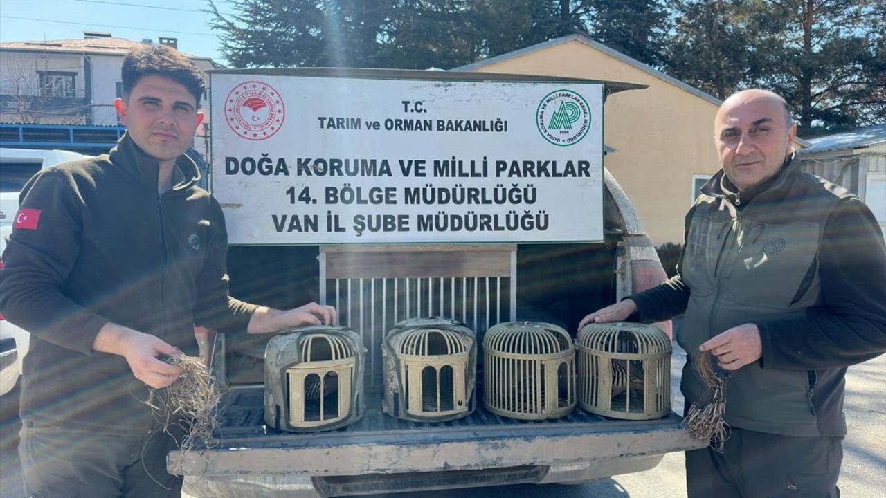 Van'da Kaçak Keklik Avına Ağır Ceza