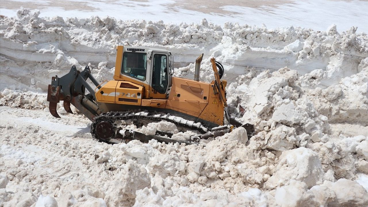 Ağrı'da Kış Aylarında Kapalı Olan Yollar Yeniden Açıldı