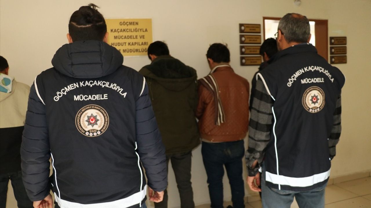 Amasya'da Canlı Hayvan Taşıyan Tırlarda Düzensiz Göçmenler Yakalandı