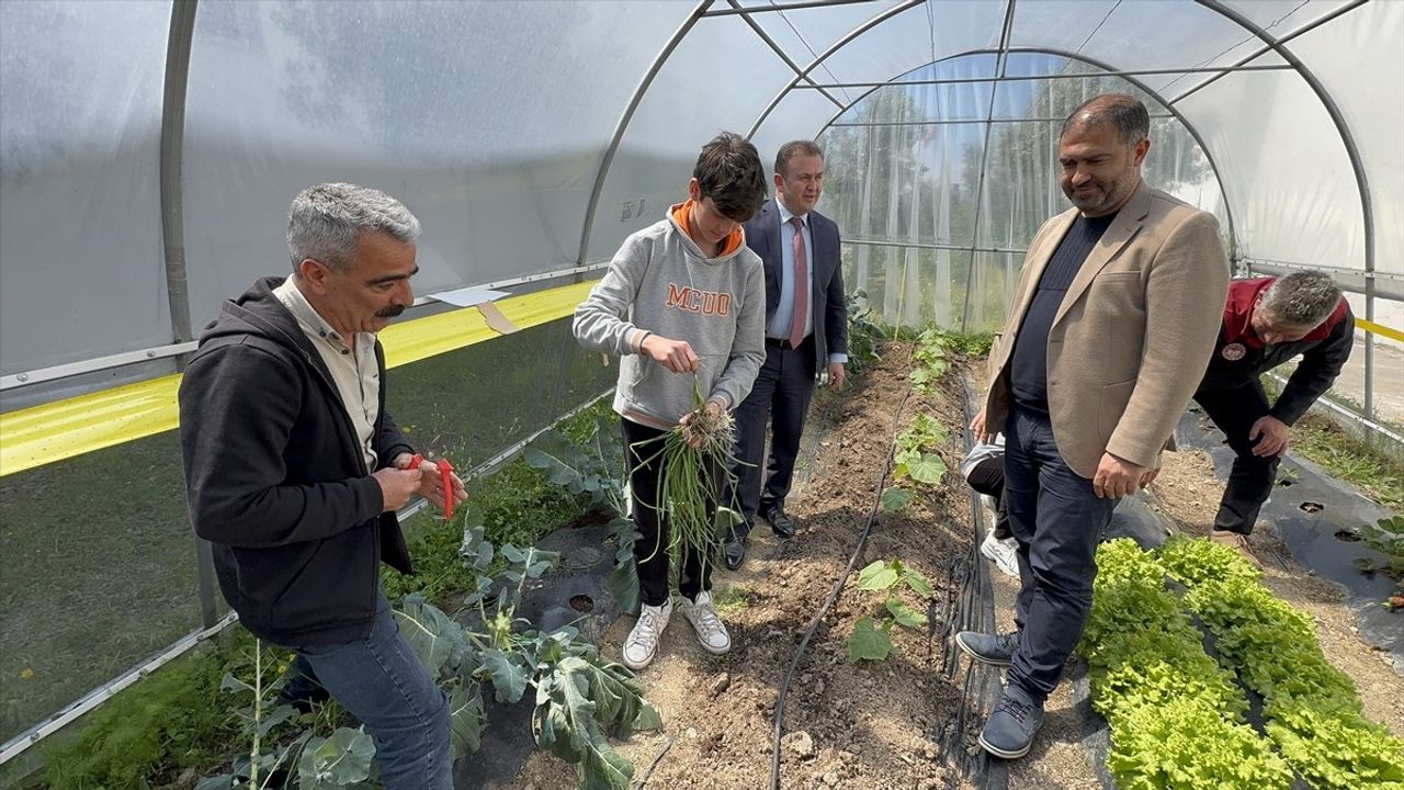Bodrum'da Okuldaki Çiftlik Projesi ile Hasat Sevinci
