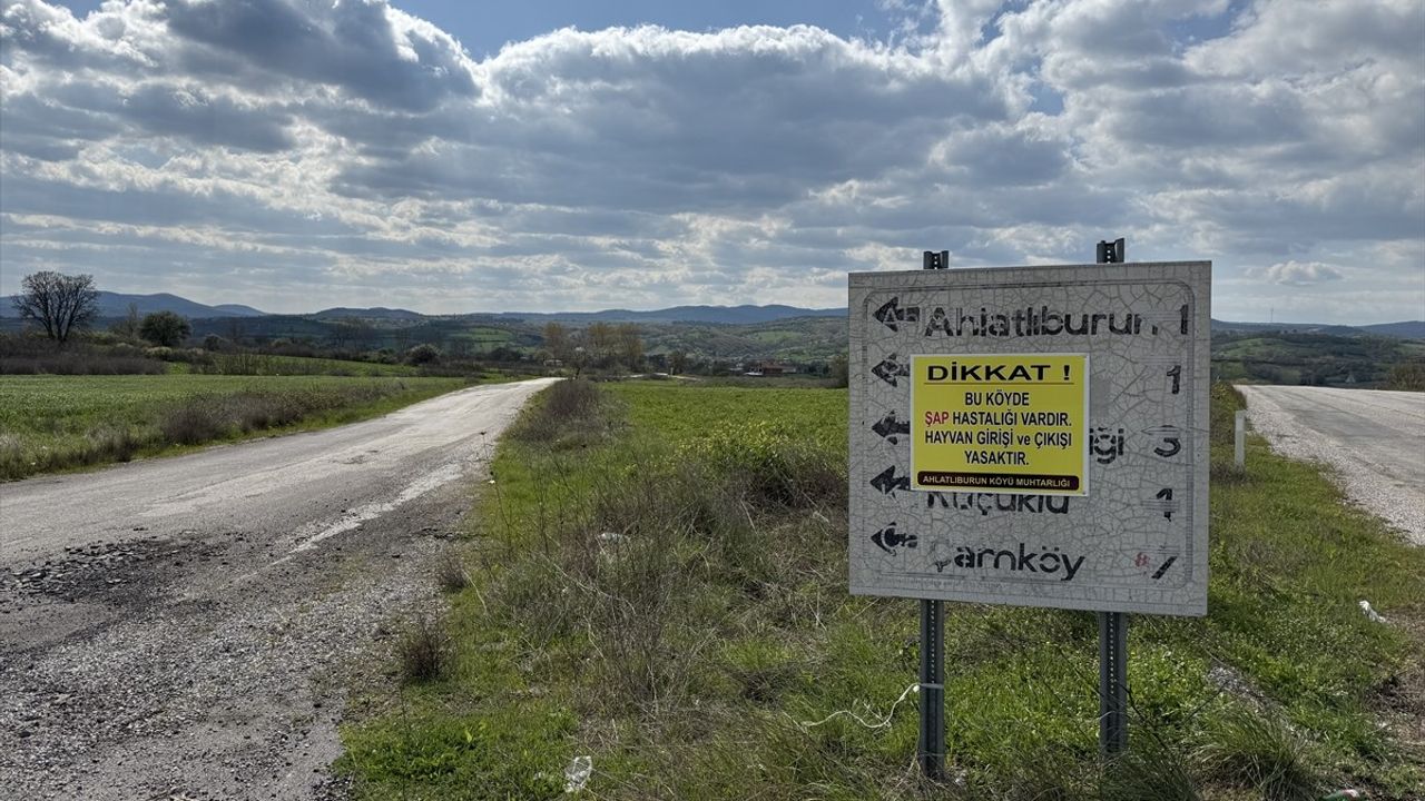 Çanakkale'de Şap Hastalığı Nedeniyle Yeni Karantina Uygulaması