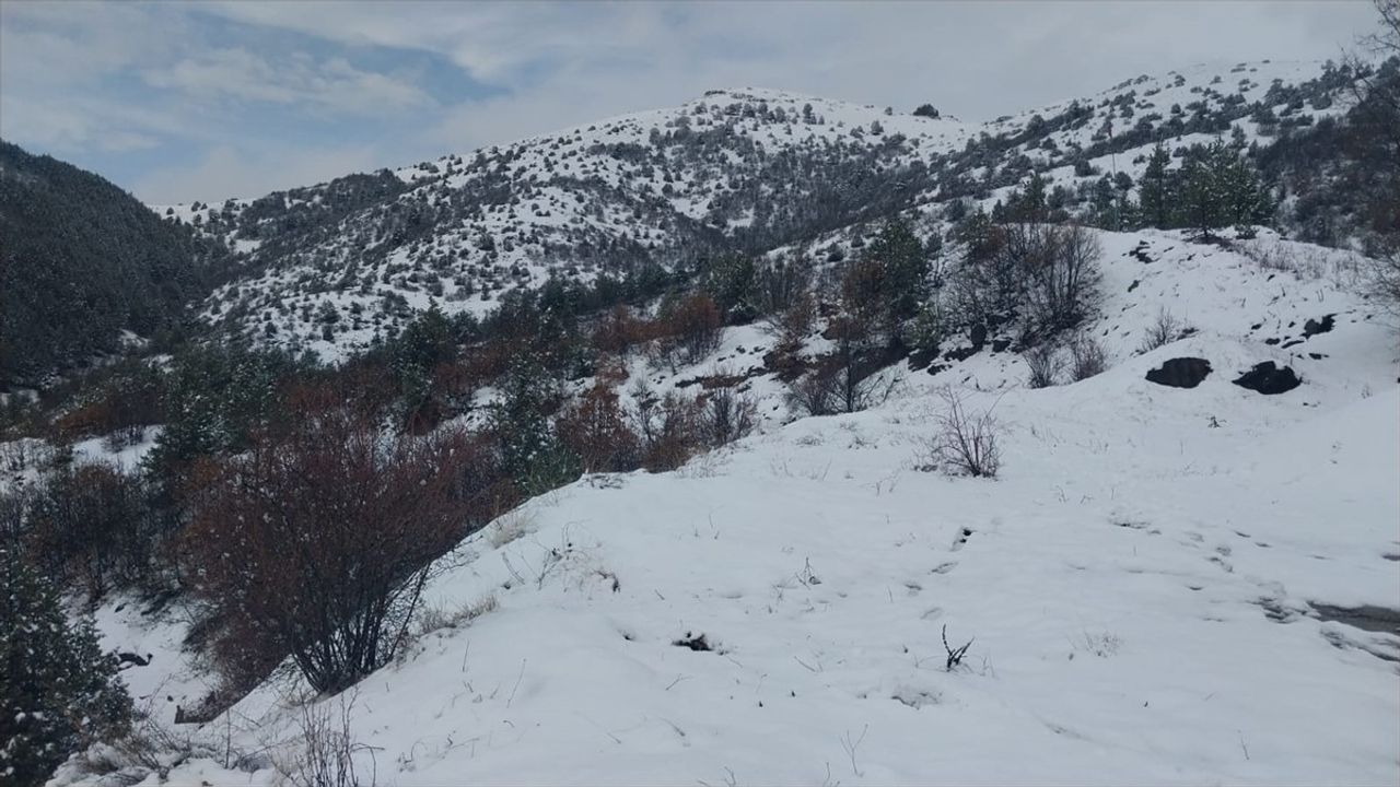 Gümüşhane'nin Kelkit İlçesinde Nisan Ayında Kar Yağışı
