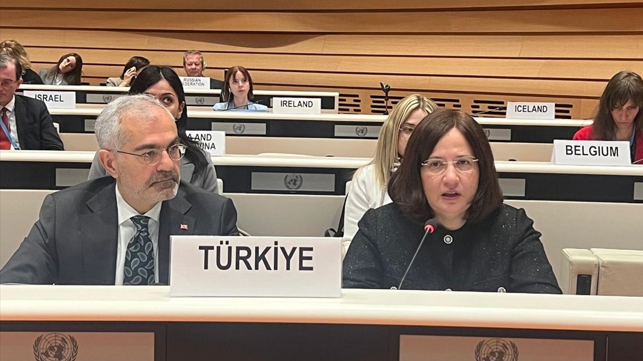 İklim Değişikliği ve Türkiye'nin Hedefleri