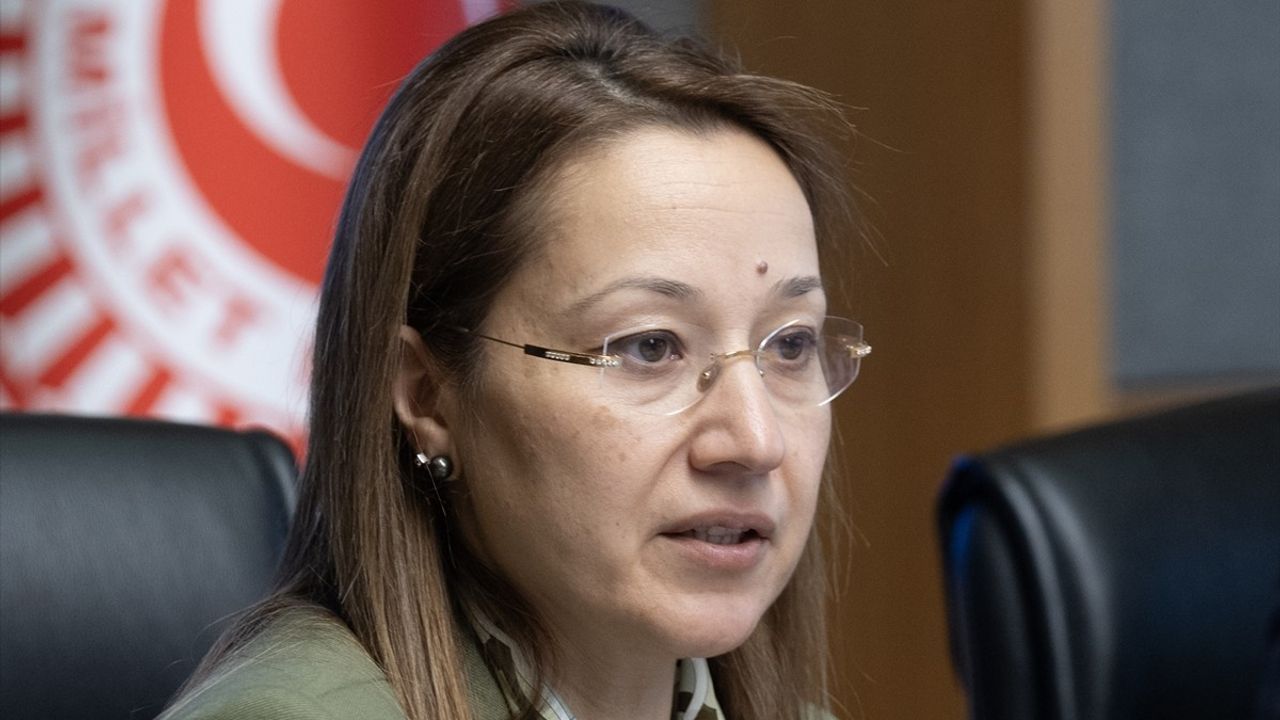 Kartalkaya Kayak Merkezi Yangınını Araştırma Komisyonu Üzerine Gelişmeler