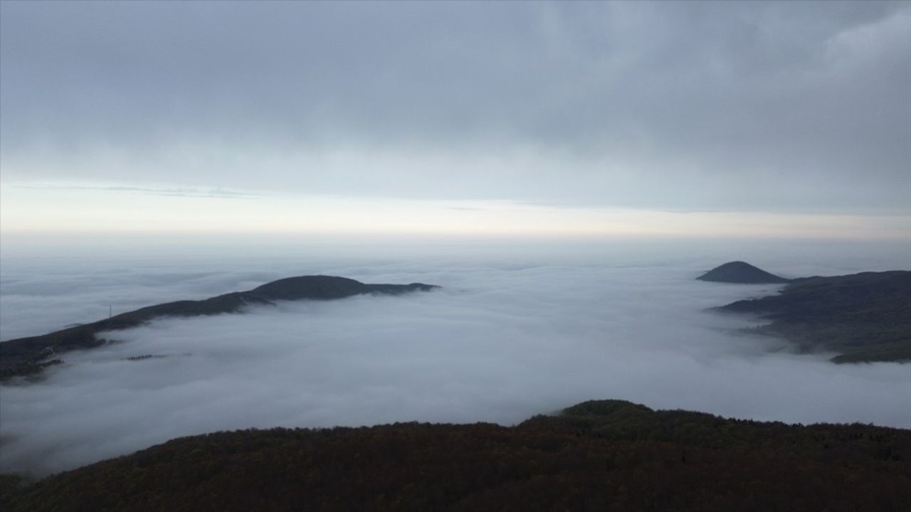 Kastamonu'da Sisle Kaplı Büyüleyici Orman Manzaraları