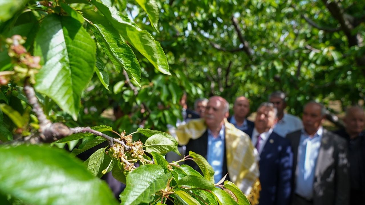 TZOB Genel Başkanı Şemsi Bayraktar İzmir'de Dondan Etkilenmiş Bahçeleri İnceledi