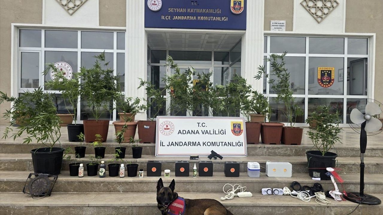 Adana'da İklimlendirme Sistemiyle Kenevir Yetiştiren 4 Şüpheli Yakalandı